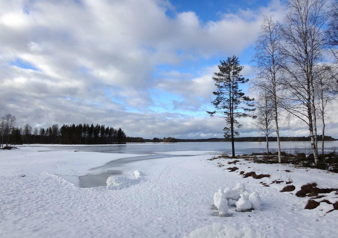 Tiiringolf Cottages Nilsiä 외부 사진